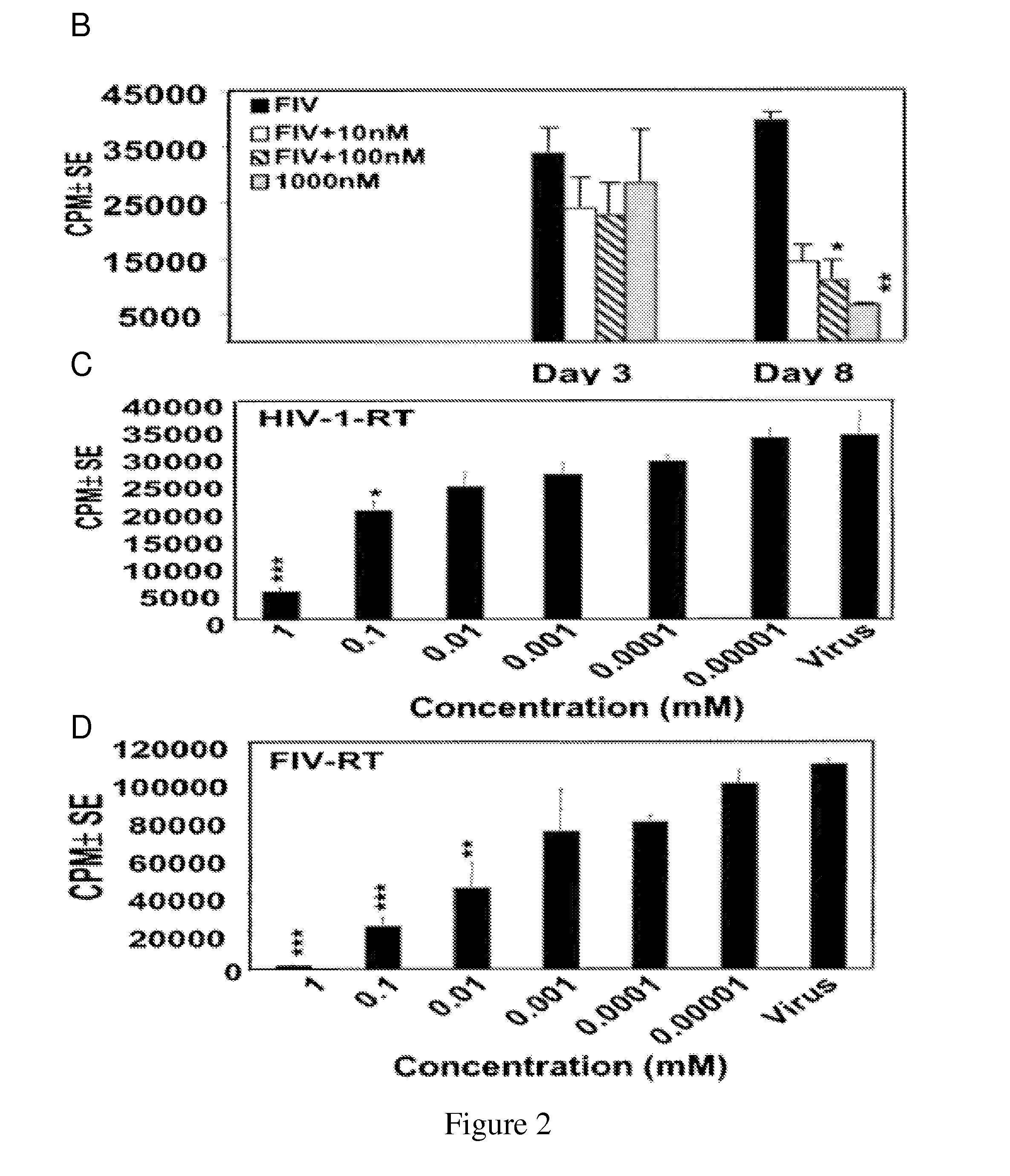 Novel self-assembling polyphenol-quinonoid polymer derivatives and uses thereof