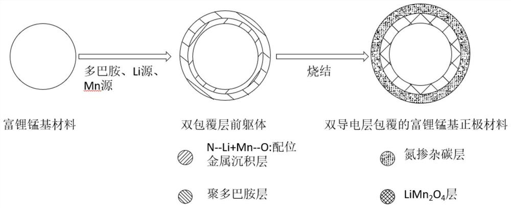 Lithium-rich manganese-based positive electrode material coated with double conductive layers as well as preparation method and application thereof