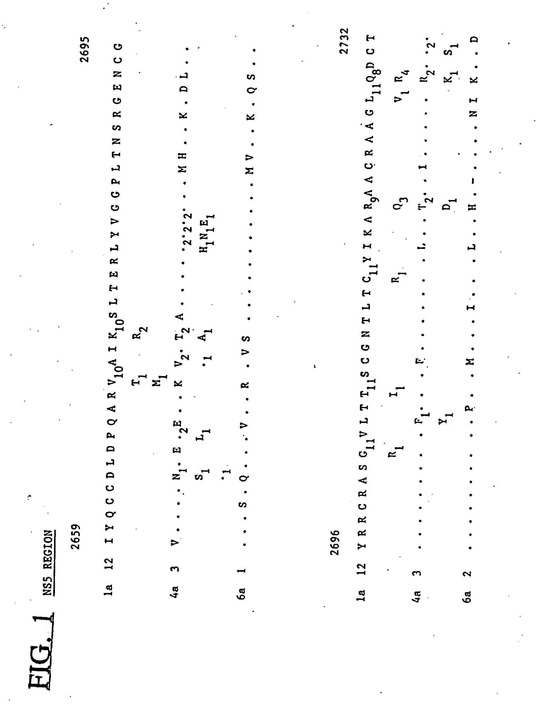 Hepatitis-C virus type 4, 5 and 6