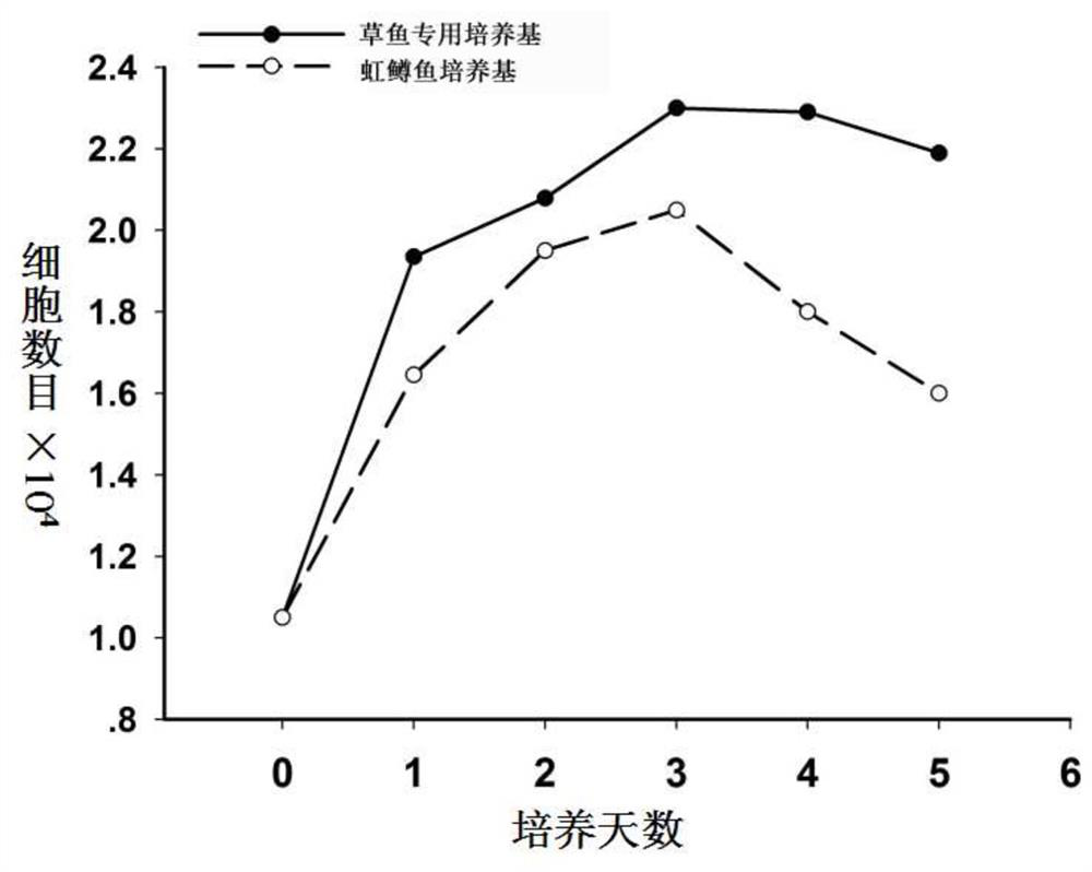 Application of grass carp fsrp-3 in culture medium and special medium for grass carp muscle satellite cells