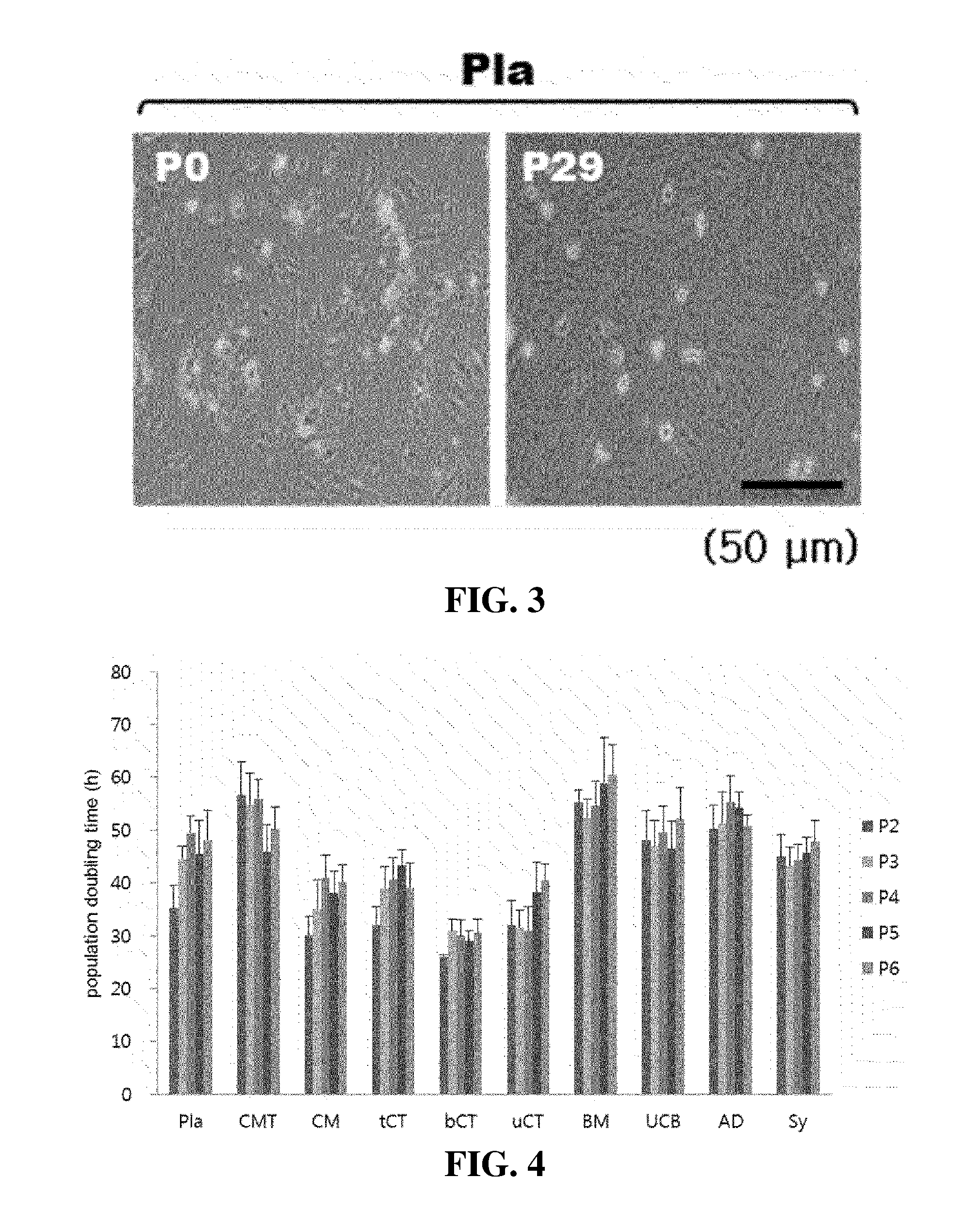 Stem Cells Derived from Basal Portion of Chorionic Trophoblast Layer and Cell Therapy Comprising Same