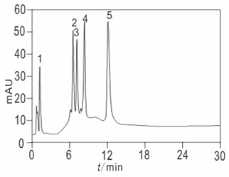 SCX/HIC (Strong Cation Exchange/Hydrophobic) mixed-mode chromatograph stationary phase and preparation method thereof