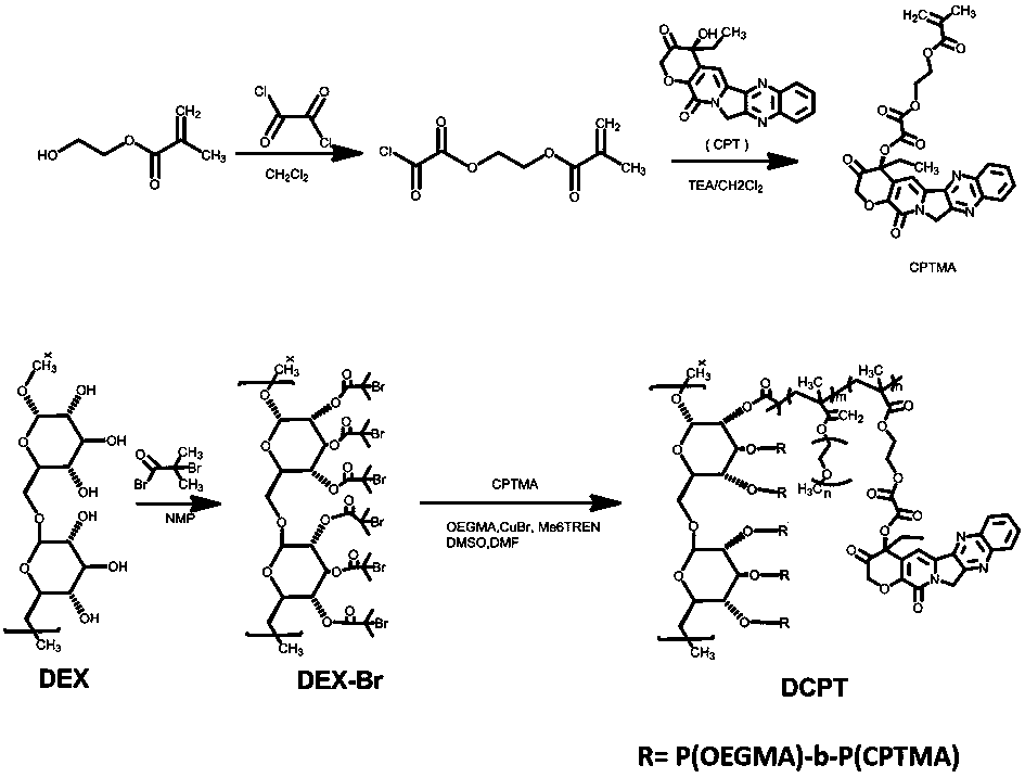 Preparation method of dextran-based ROS-responsive camptothecin polymer prodrug