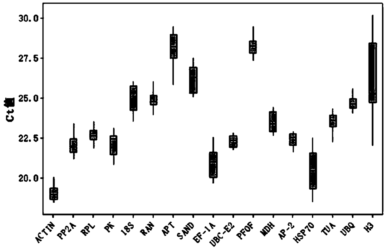 Fluorescence quantitative internal reference gene under salt stress in haizhou changshan and primers and application thereof