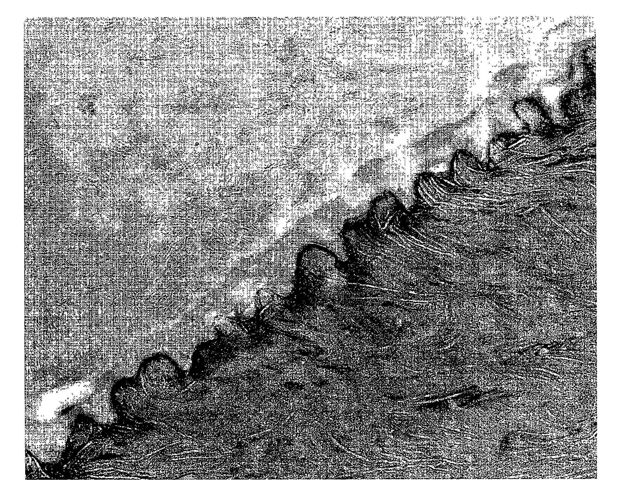 Adhesive resin composition and multi-layer laminated structure using the same