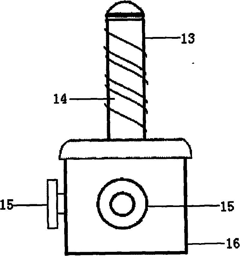 Automated training device and method for behavior learning of non-human primates