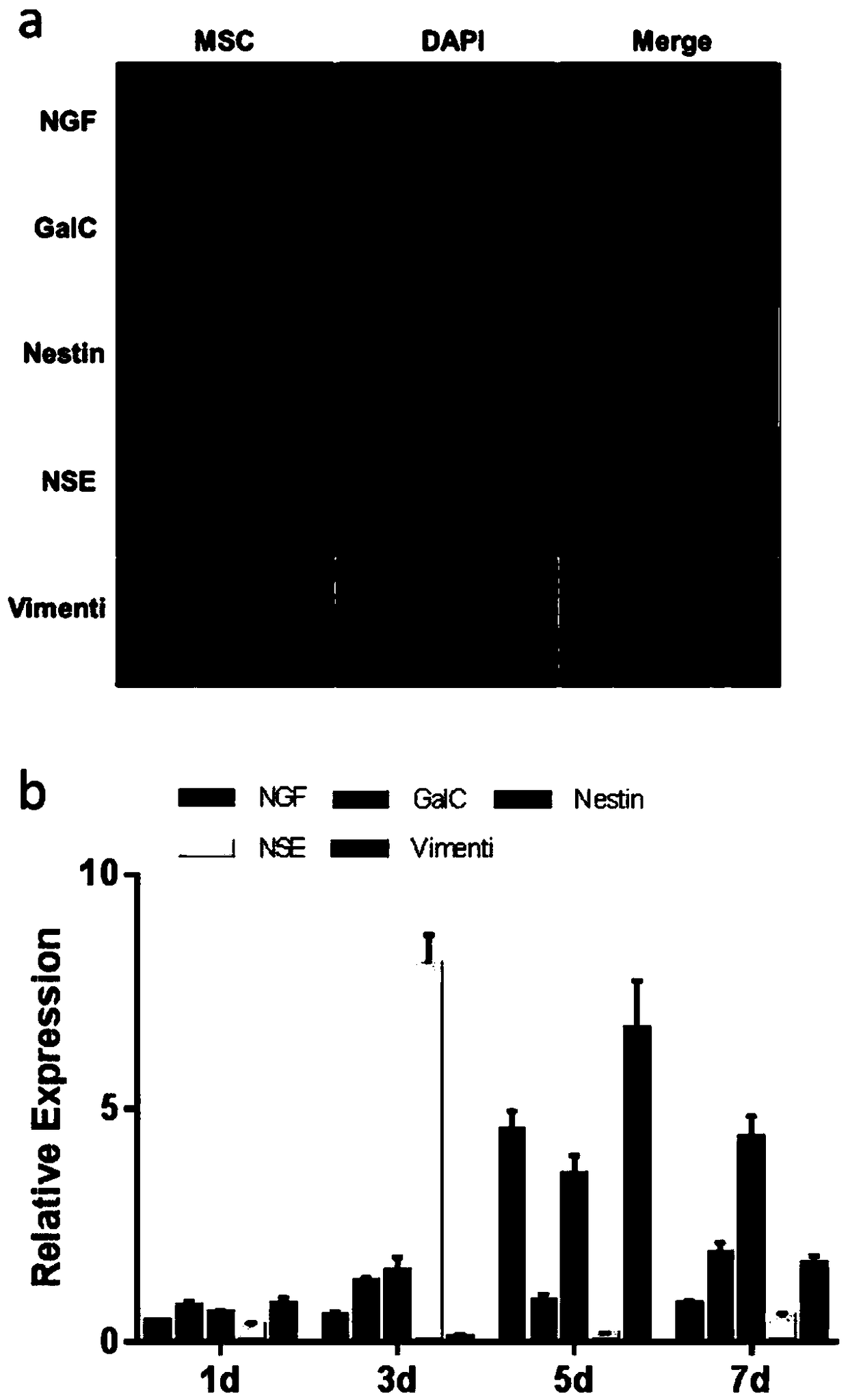 Application of compound in preparation of nerve protection and/or nerve repair related products