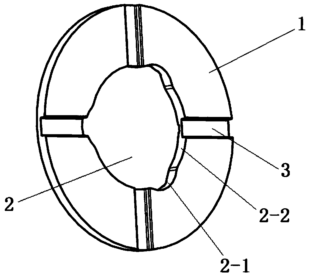 Planet gasket