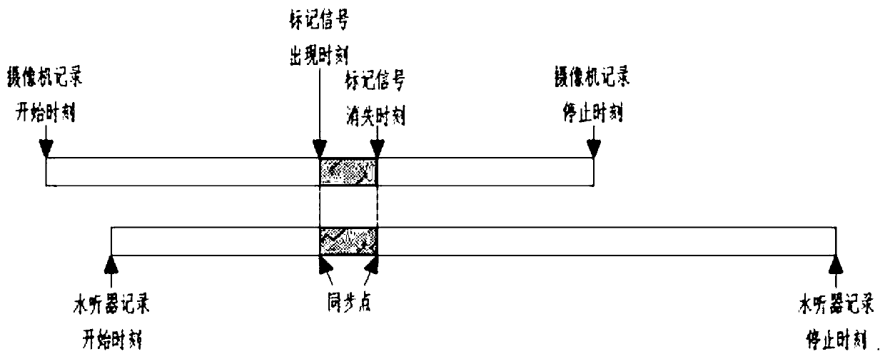 Audio and video signal synchronization device and method suitable for bubble acoustic research