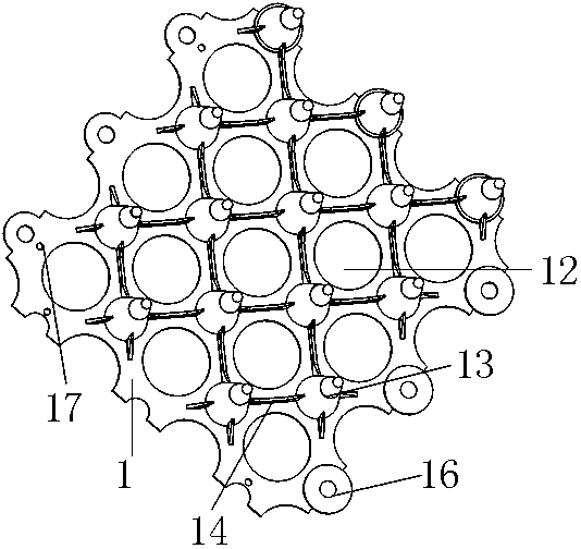 Grass protection device and lawn grass planting method