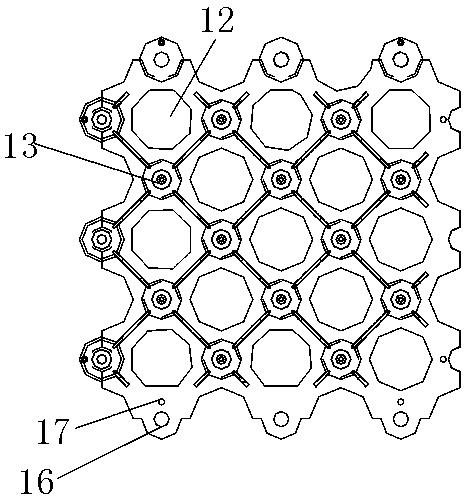 Grass protection device and lawn grass planting method