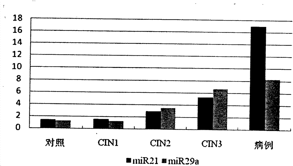 Serum/plasma miRNA serum marker related to cervical carcinoma and precancerous lesions thereof and application thereof