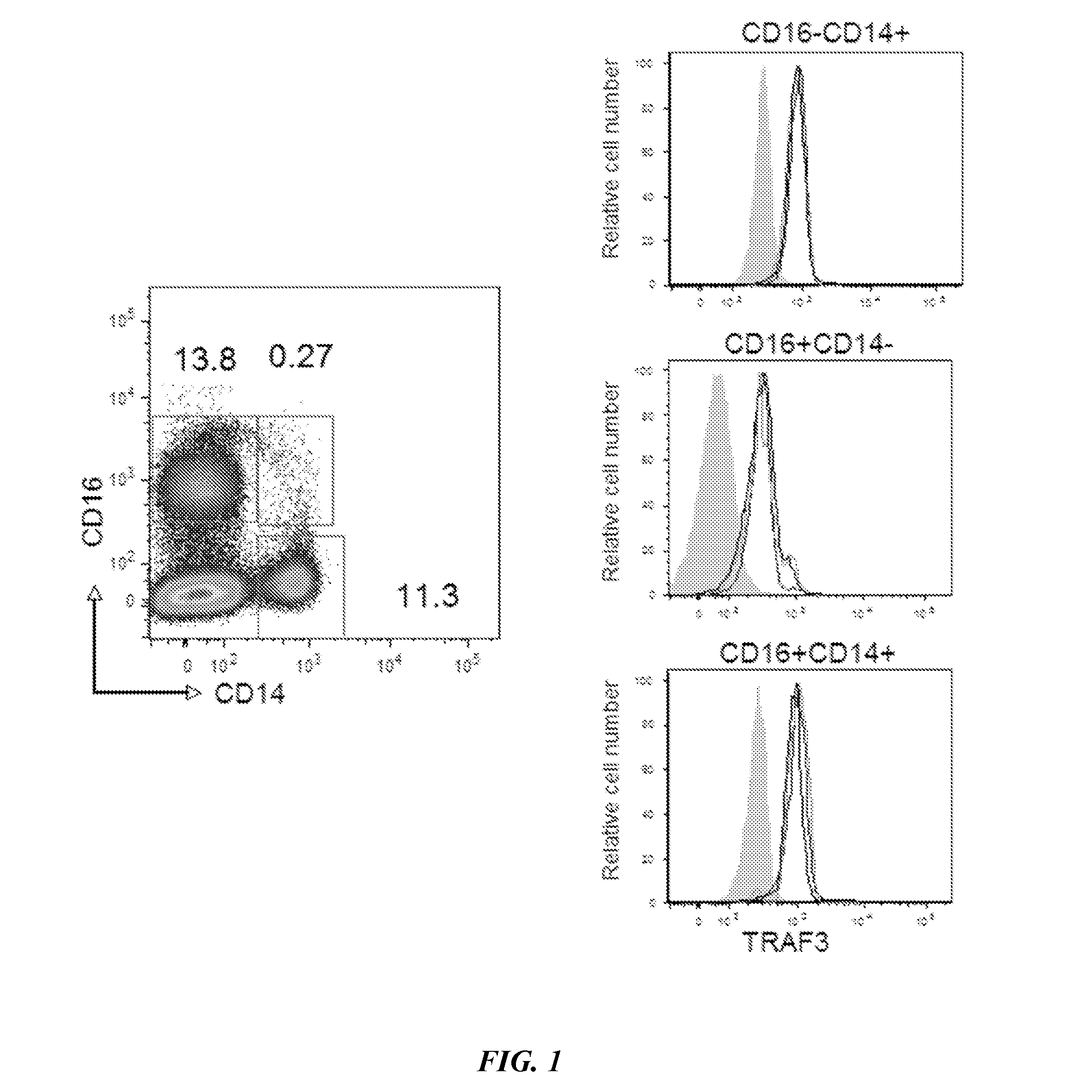 Method to identify patients that will likely respond to Anti-tnf therapy