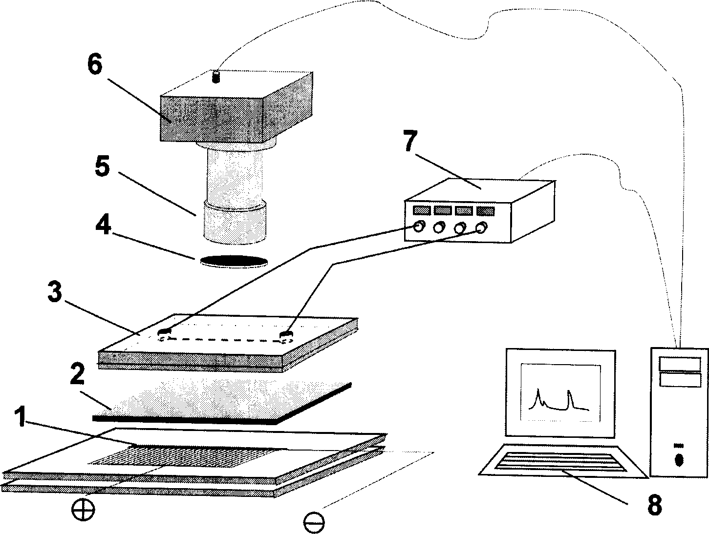 Multi-channel column imaging fluorescent detector