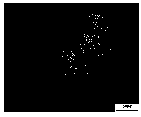 Method for preparing aluminum-holmium intermediate alloy by virtue of high-energy ultrasonic