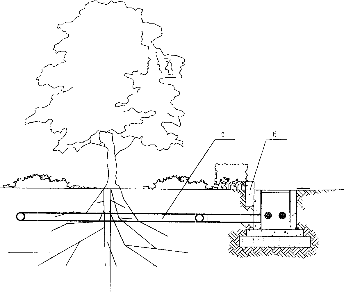 Dispersion type rainwater-collecting infiltrating irrigation device for urban road green area