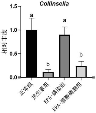 Application of acetal phosphatidyl ethanolamine in preparation of product for reducing trimethylamine oxide in vivo