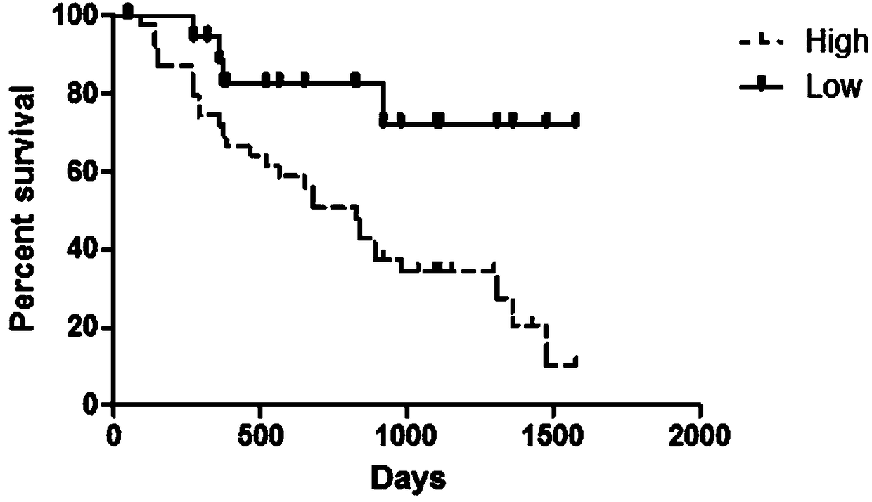 Application of kidney cancer prognosis novel molecular marker non-coding RNA LINC00158, kit and detection method