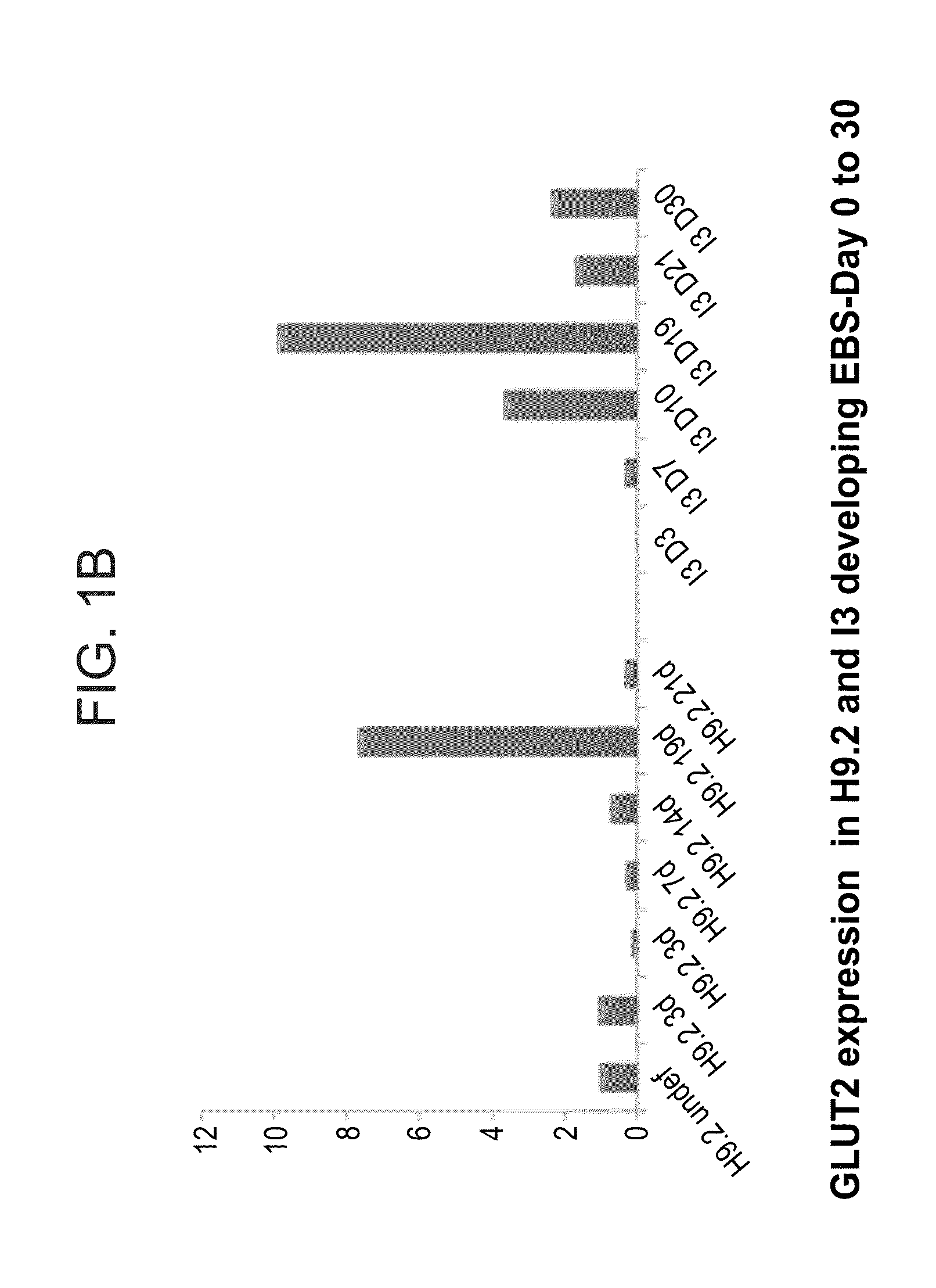 Populations of pancreatic progenitor cells and methods of isolating and using same