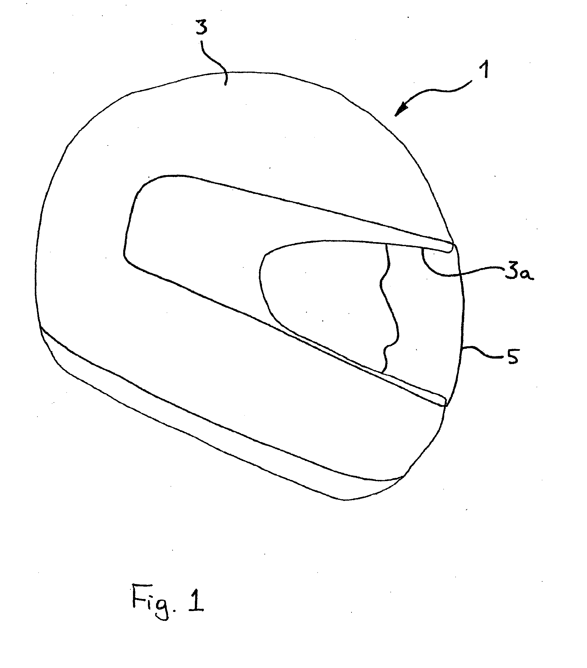 Brain cooling device