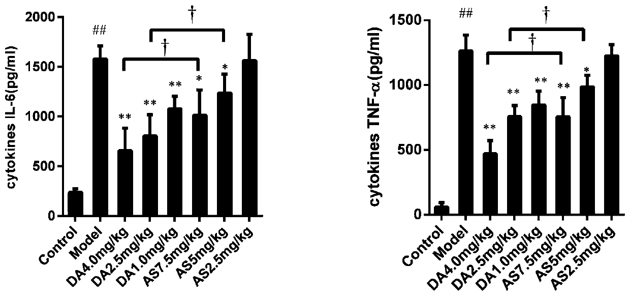 Artesunate succinylated derivative and preparation method and application thereof in medicines