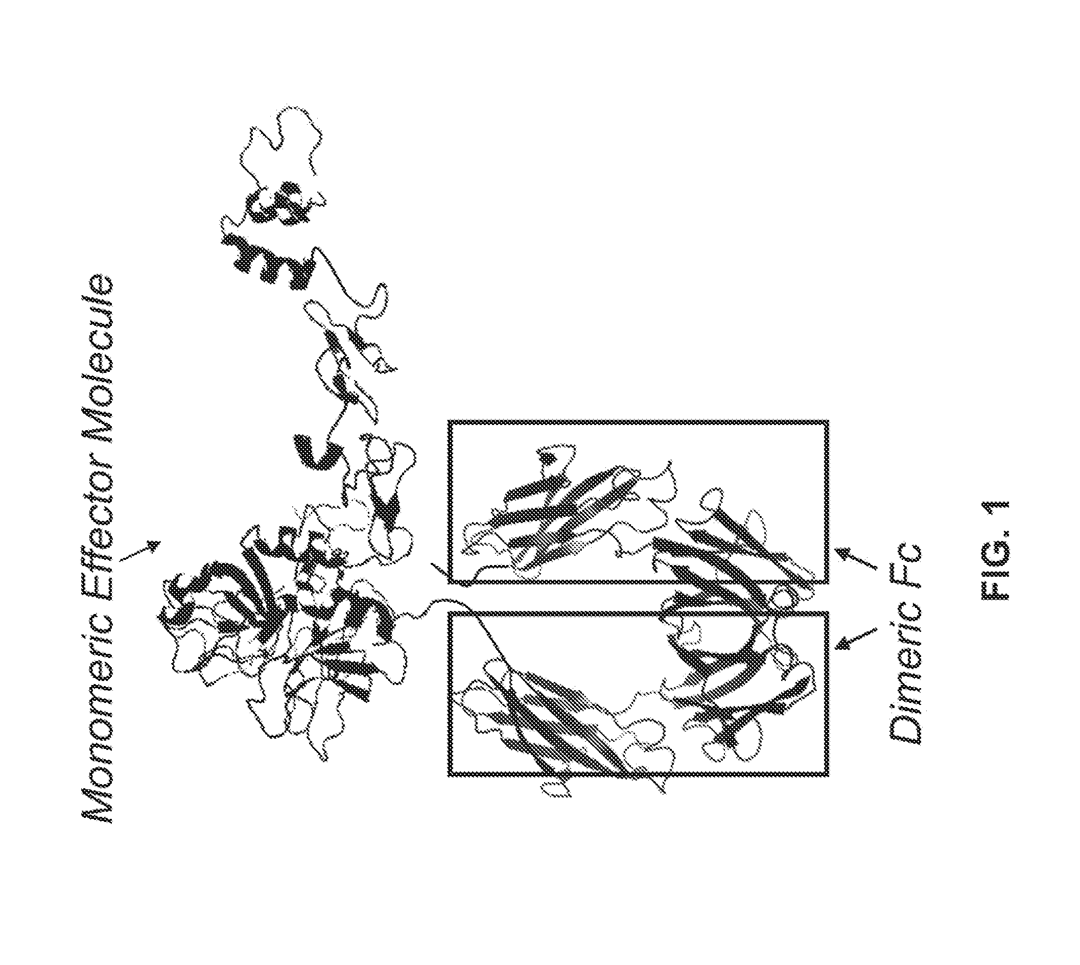 Factor IX Polypeptides and Methods of Use Thereof