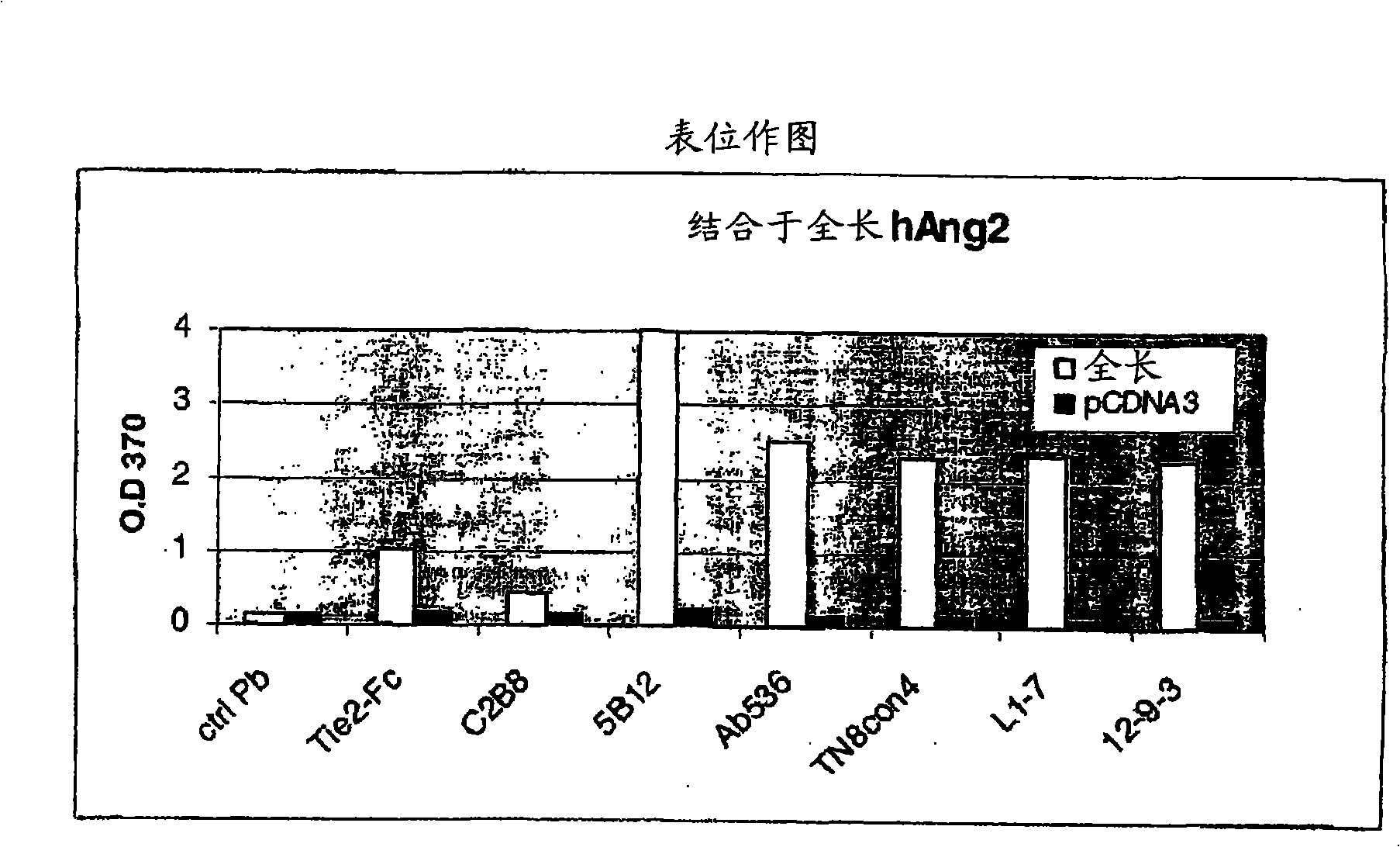 Angiopoietin-2 specific binding agents