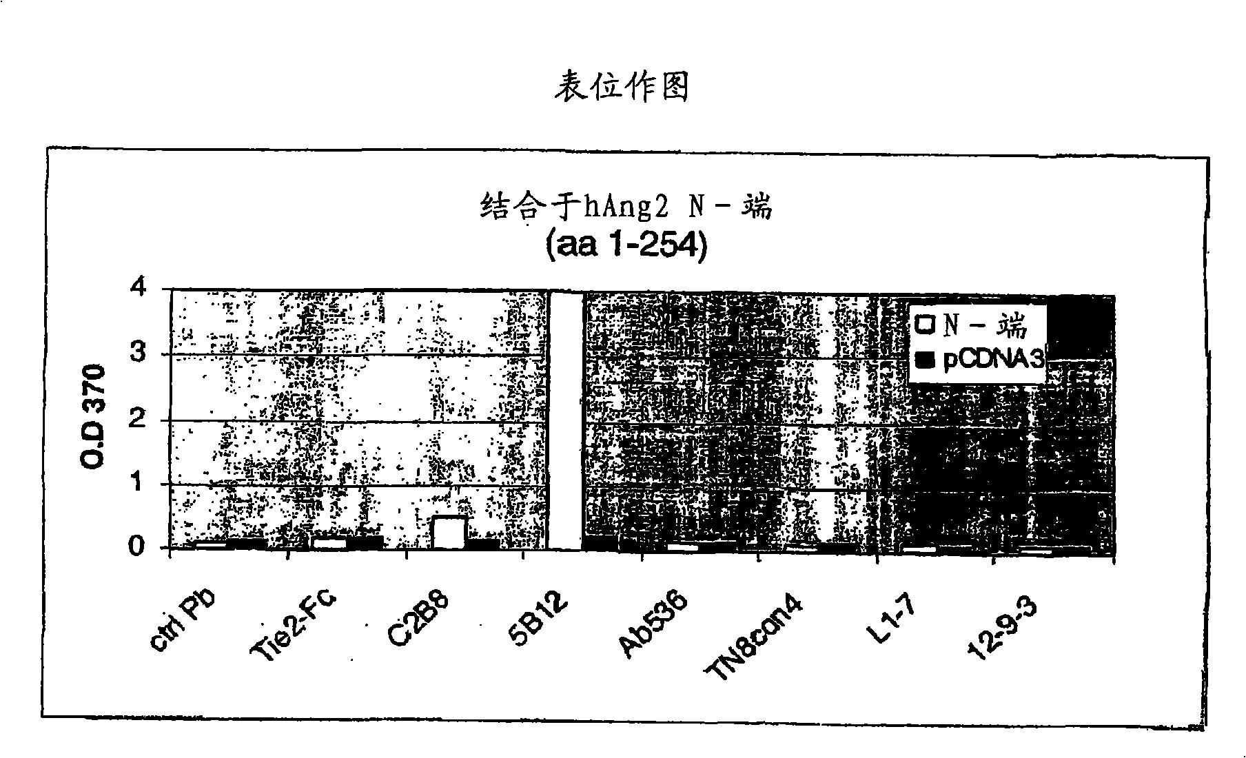 Angiopoietin-2 specific binding agents