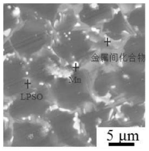 Biological magnesium alloy containing rich LPSO structures and preparing method of biological magnesium alloy