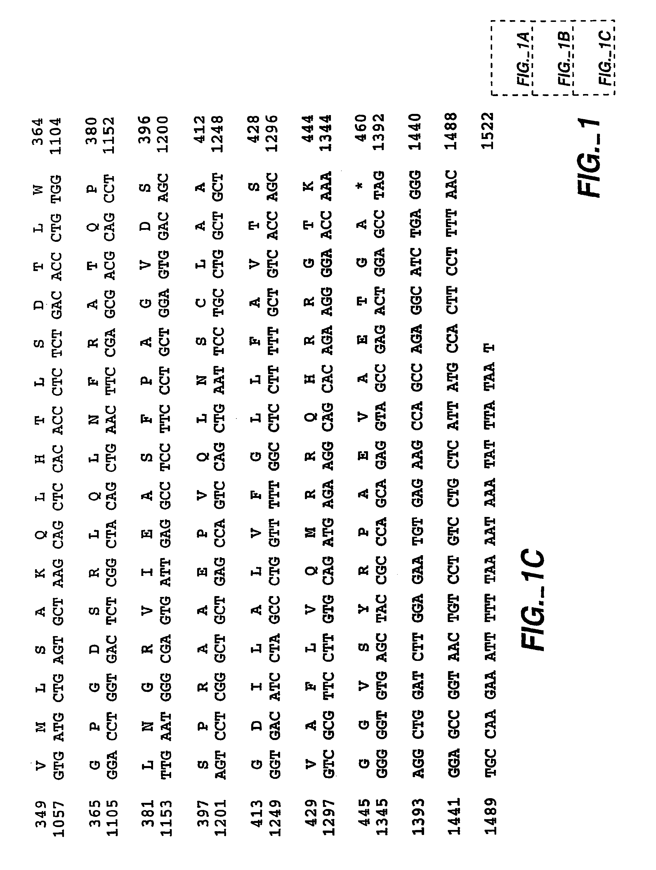 Soluble Form of Carbonic Anhydrase IX (s-CA IX), Assays to Detect s-CA IX, CA IX's Coexpression with HER-2/neu/c-erbB-2, and CA IX-Specific Monoclonal Antibodies to Non-Immunodominant Epitopes