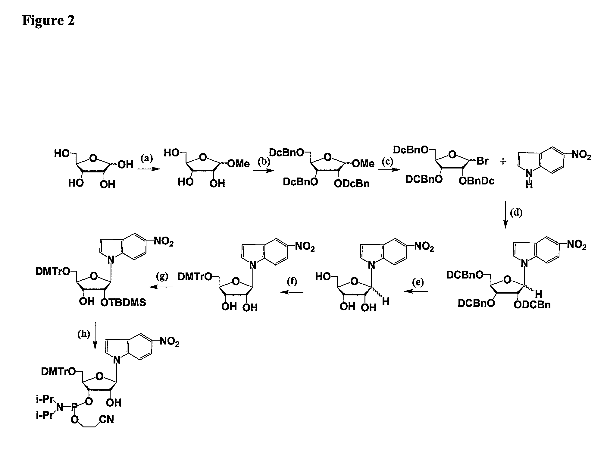 RNAi Agents Comprising Universal Nucleobases