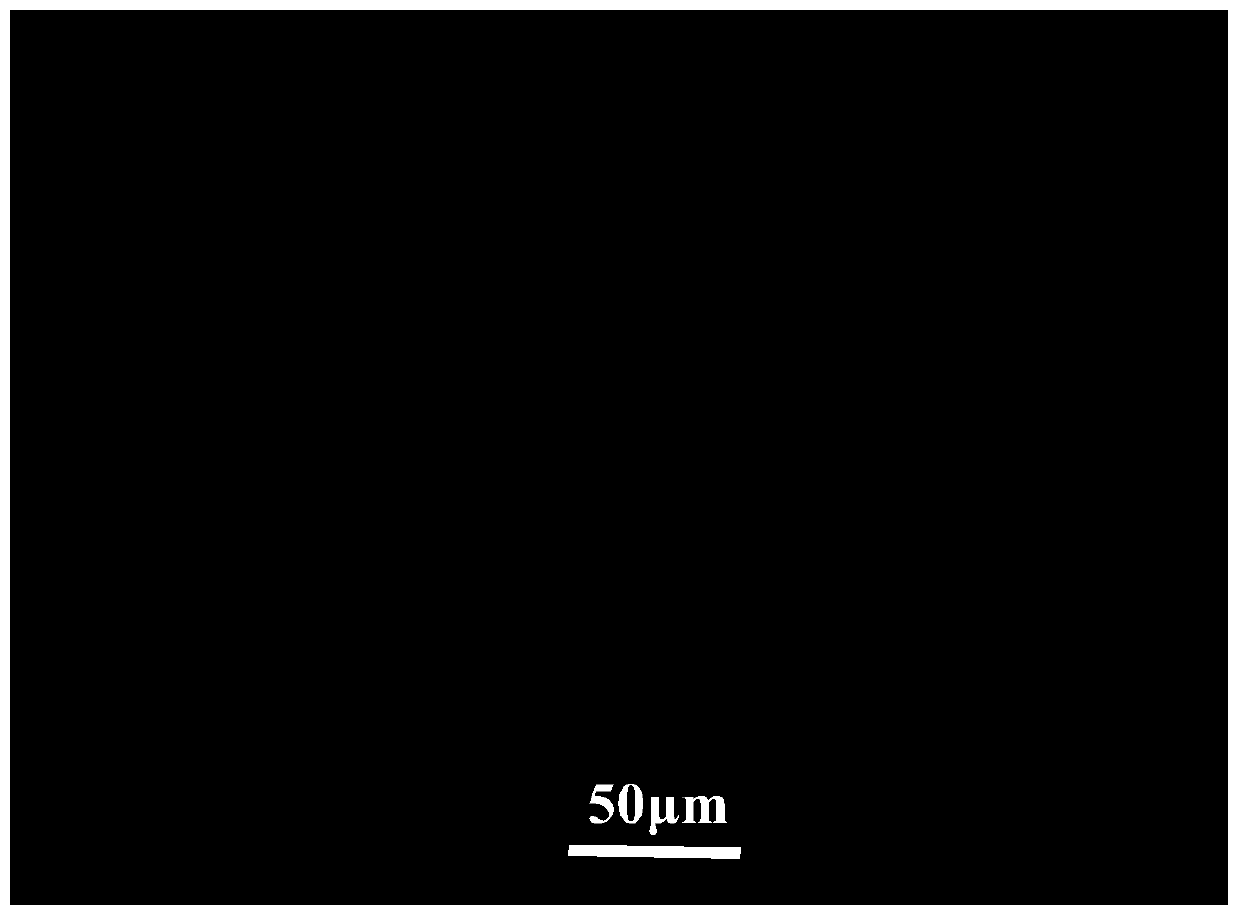 A kind of preparation method of titanium powder or titanium alloy powder special for porous titanium film