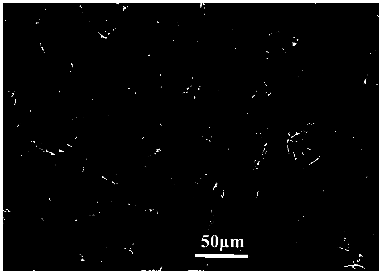 A kind of preparation method of titanium powder or titanium alloy powder special for porous titanium film