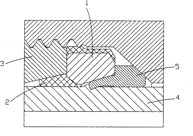 Double-ferrule type pipe joint