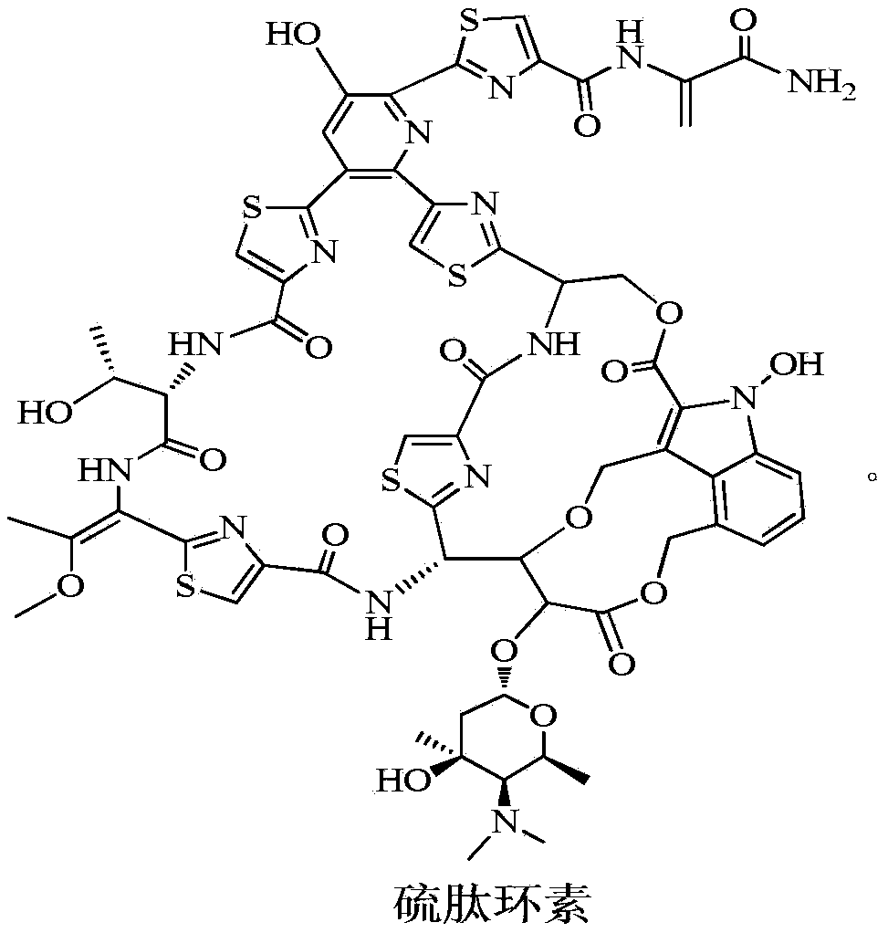 New application of thiopeptcin