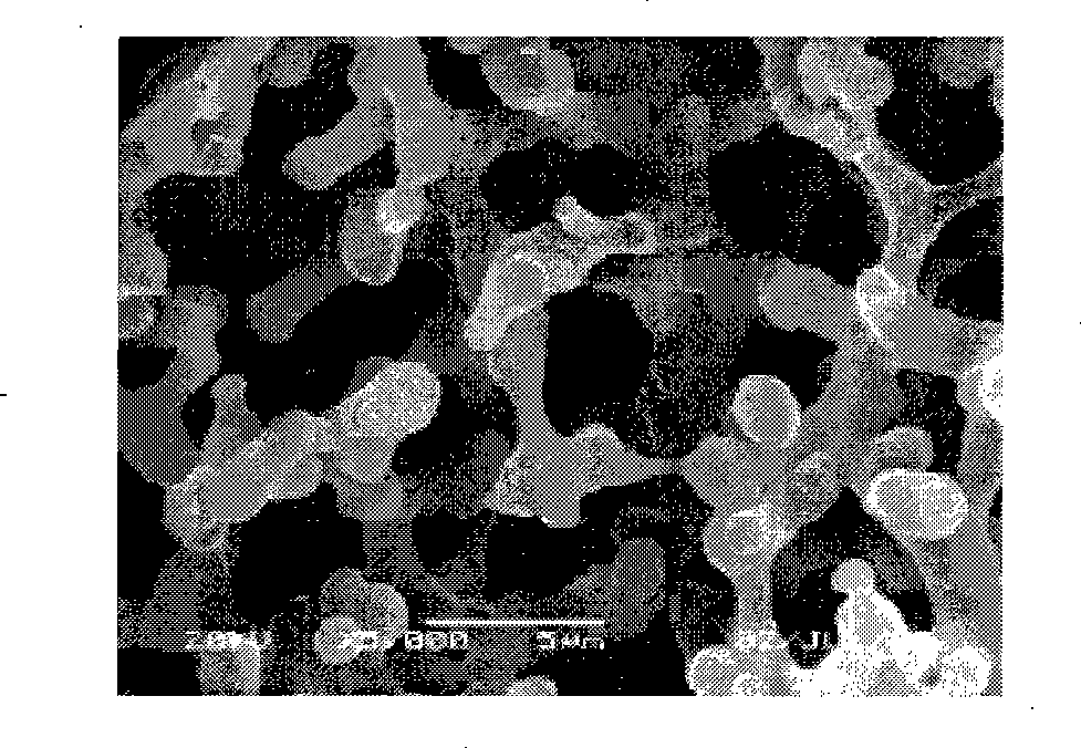 Use of double-phenyl hybridization silica gel material monolithic column in chromatogram