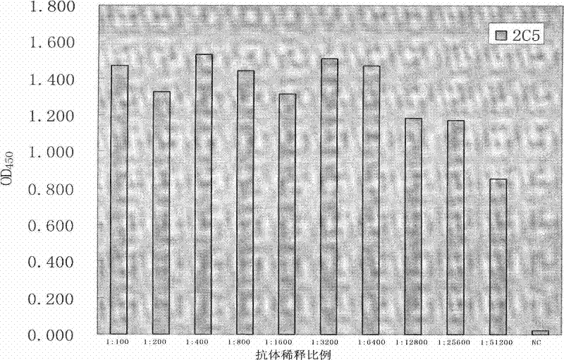 Anti-rabies virus monoclonal antibody and application