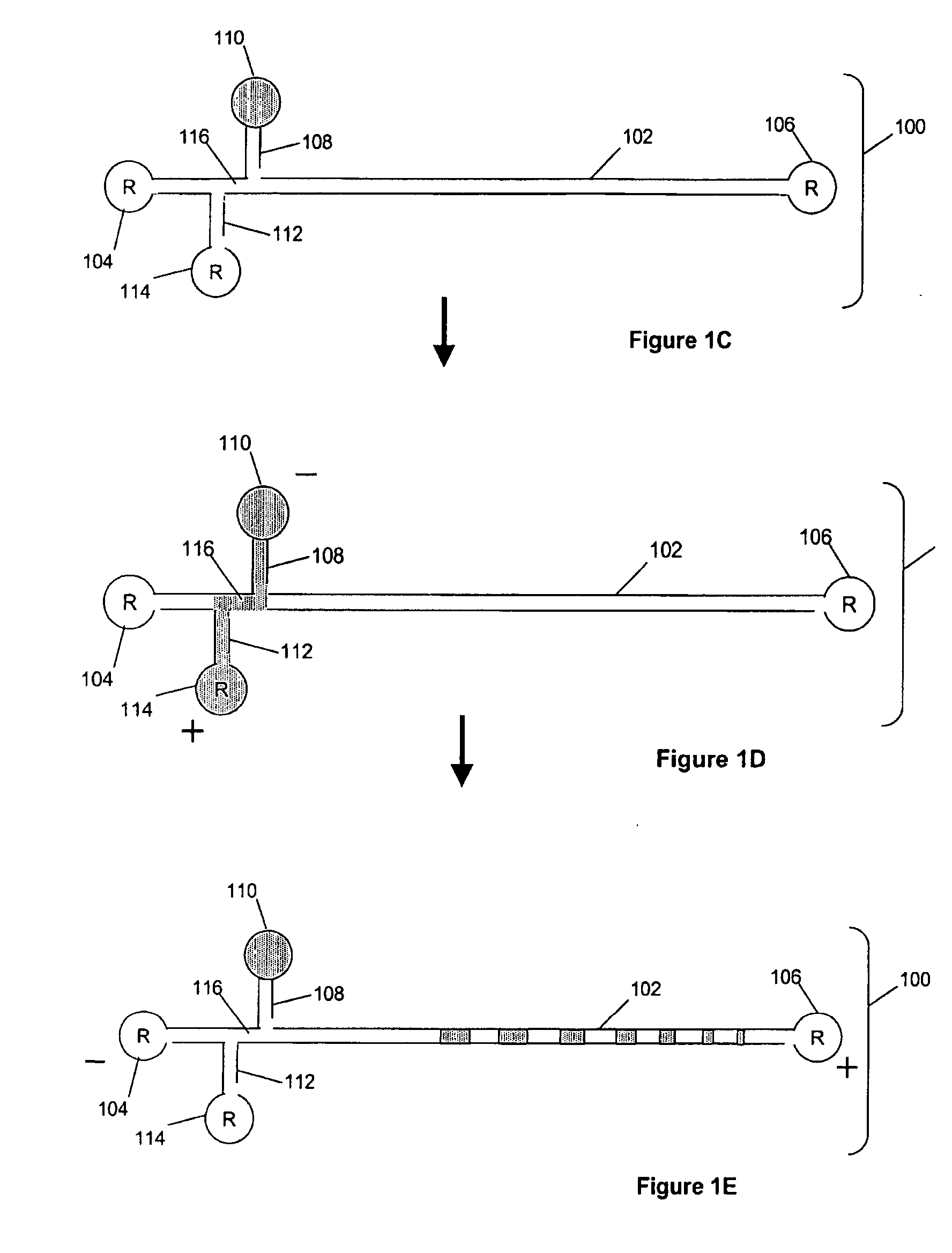 Analyte Identification in Transformed Electropherograms