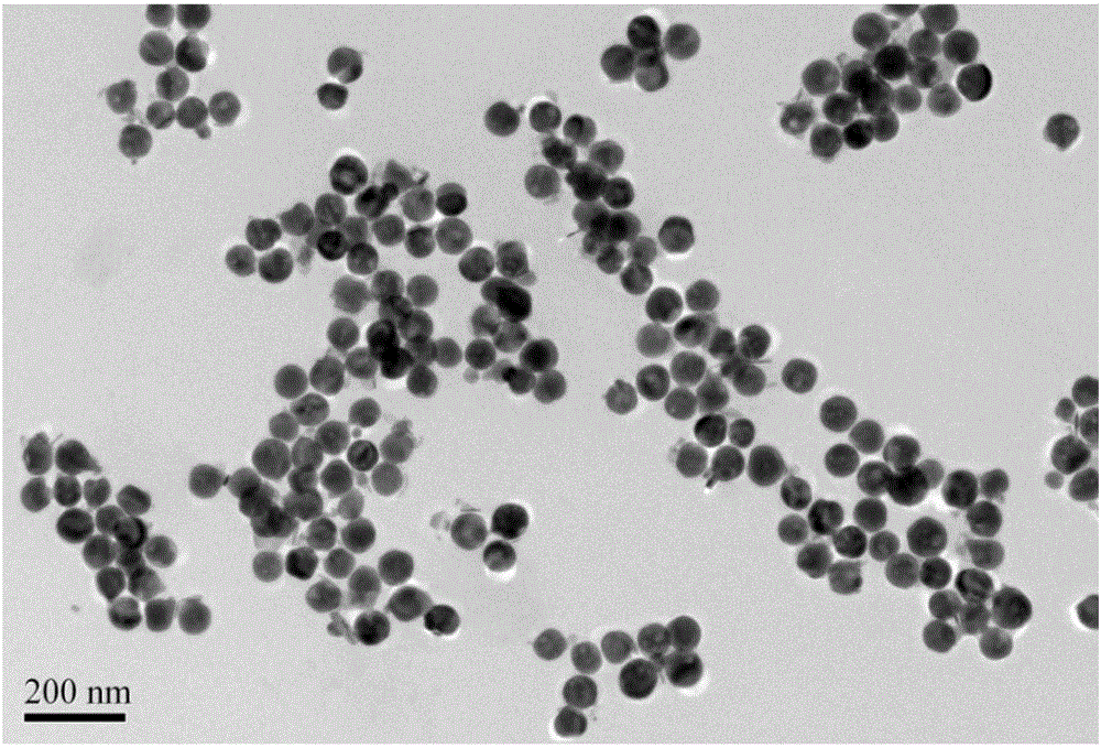 Multifunctional Cu3BiS3-PEG-(Ce6-Gd&lt;3+&gt;)-FA nano composite material, and preparation method and application thereof