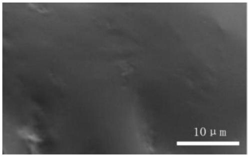 Conductive carbon nanotube/water-based acrylic resin composite material and preparation method thereof