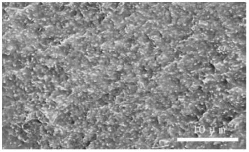 Conductive carbon nanotube/water-based acrylic resin composite material and preparation method thereof