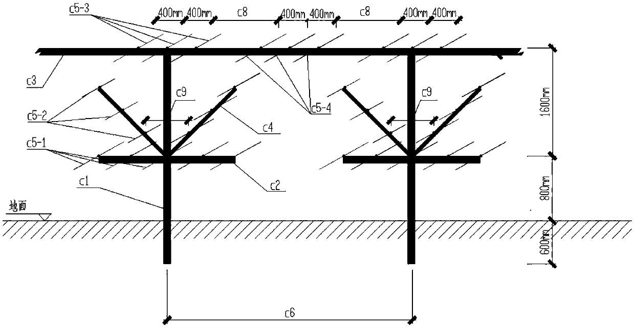 Kiwifruit 'Ping-shaped (Chinese character Pinyin) floor stand' cultivation method