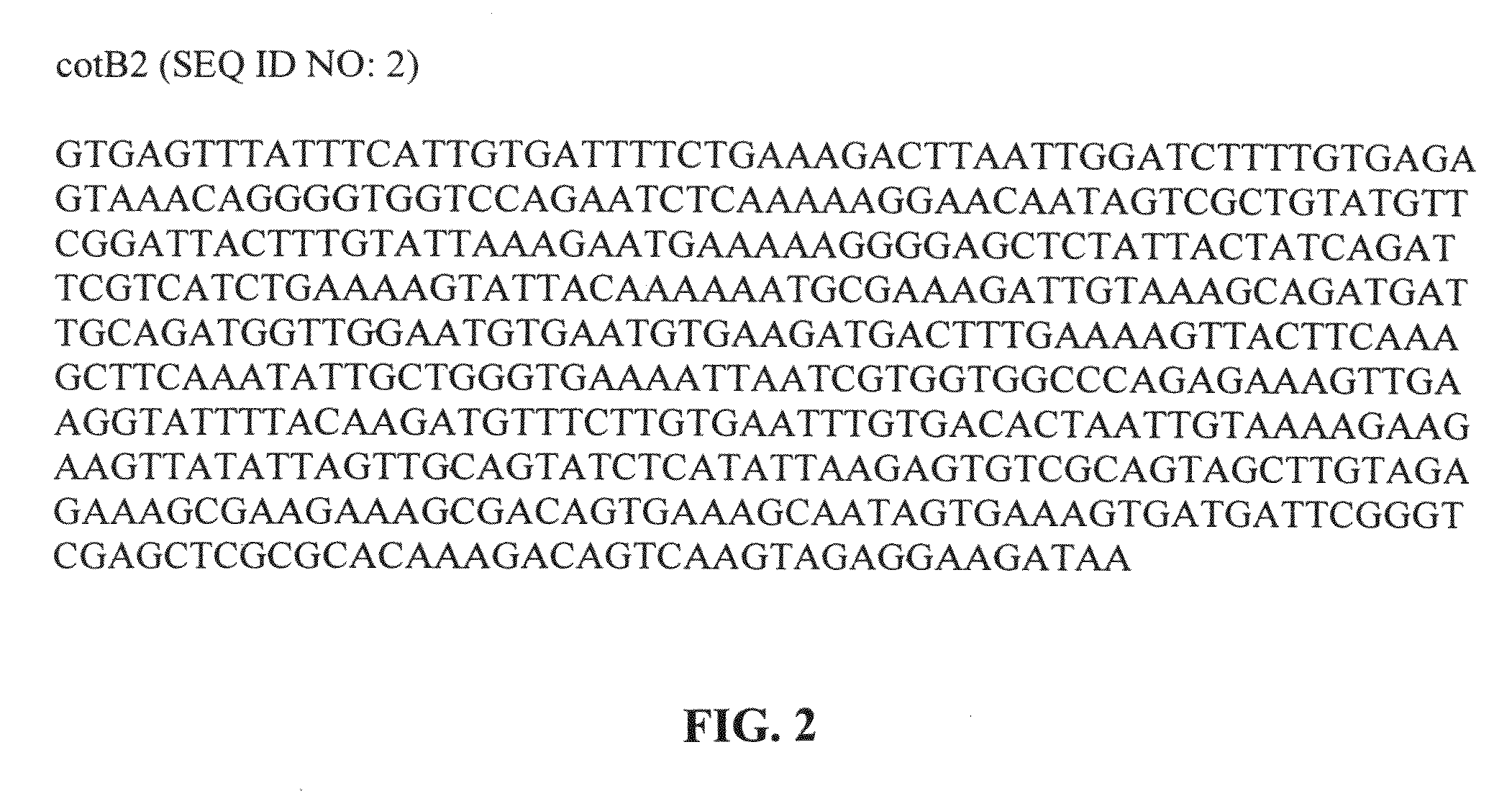 Spore associated display