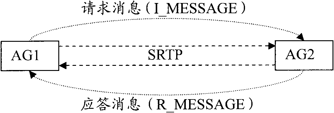 Method and device for safely consulting session key