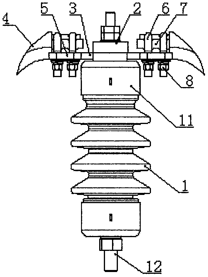 Insulated power line double-tightening lightning protection insulator with electricity testing grounding ring