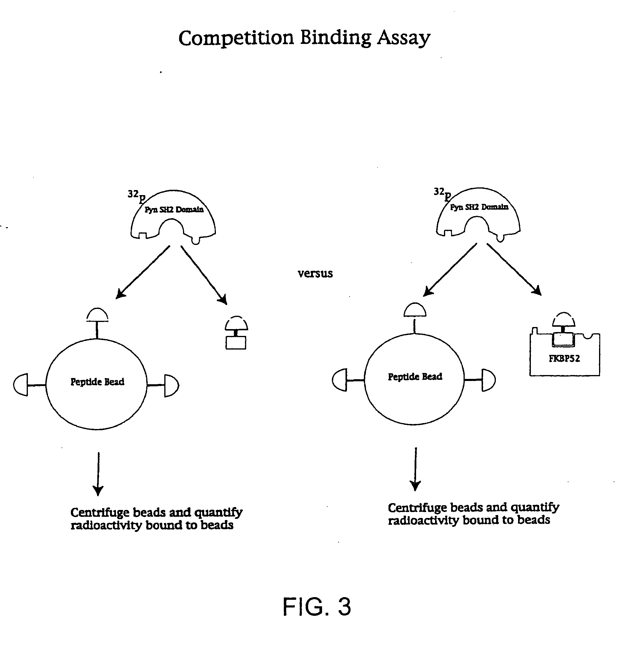 Administering bifunctional molecules containing a drug moiety and presenter protein ligand for therapy