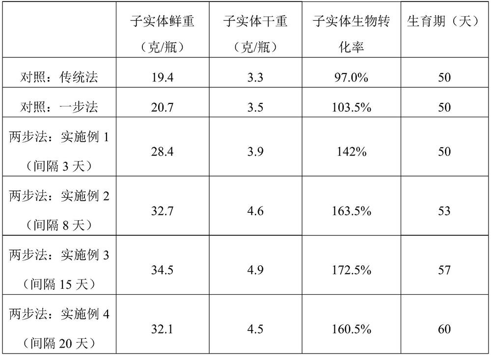 A method of two-step inoculation to increase fruiting bodies of Cordyceps militaris