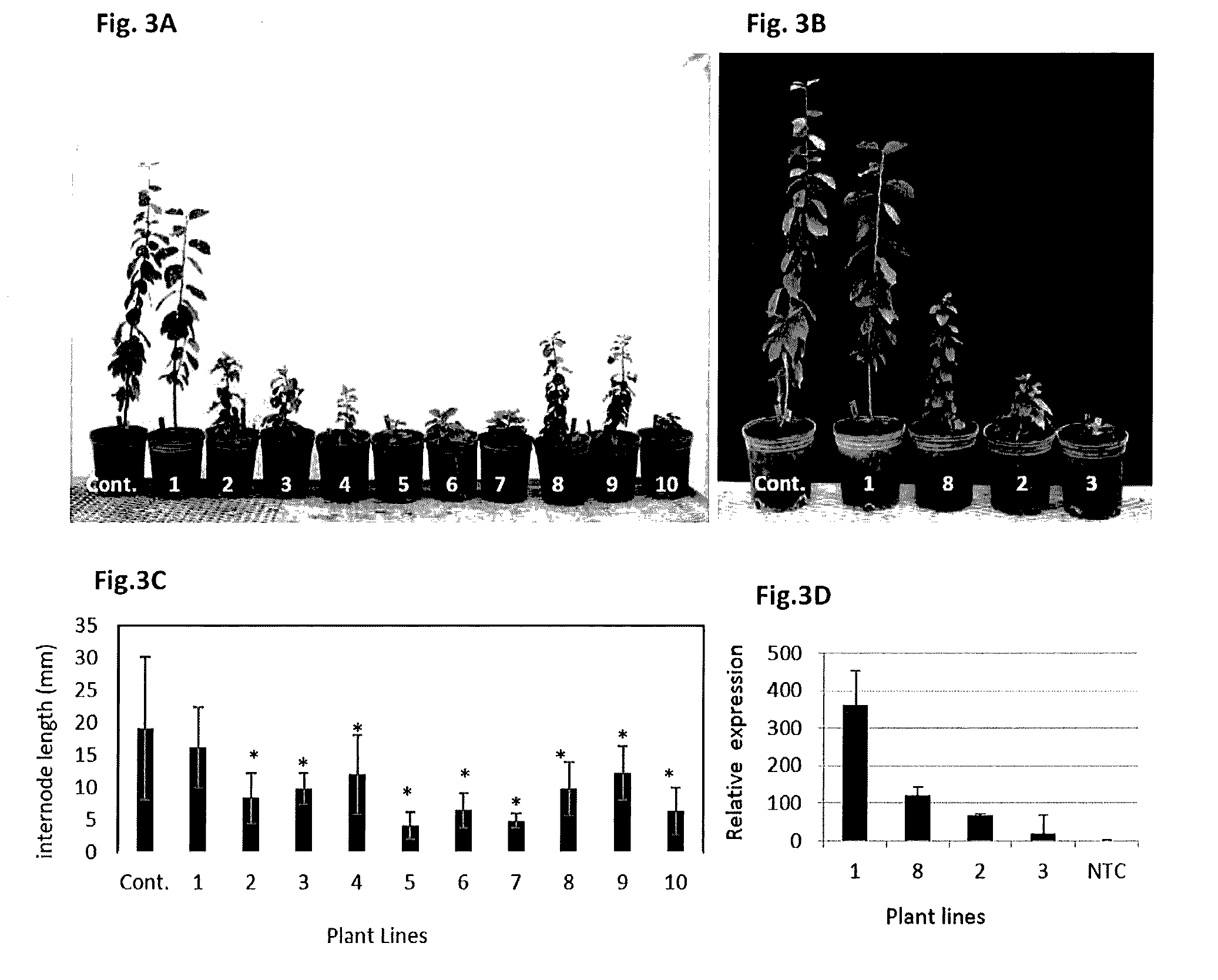 Effect of PpeGID1c on Vegetative Growth of Fruit Trees