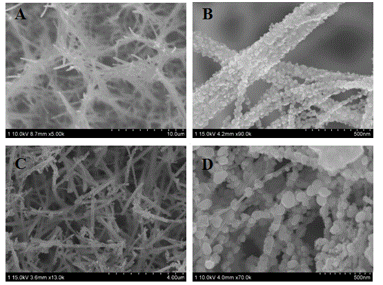 Novel photocatalytic material based on Cu and Ag and preparation method thereof