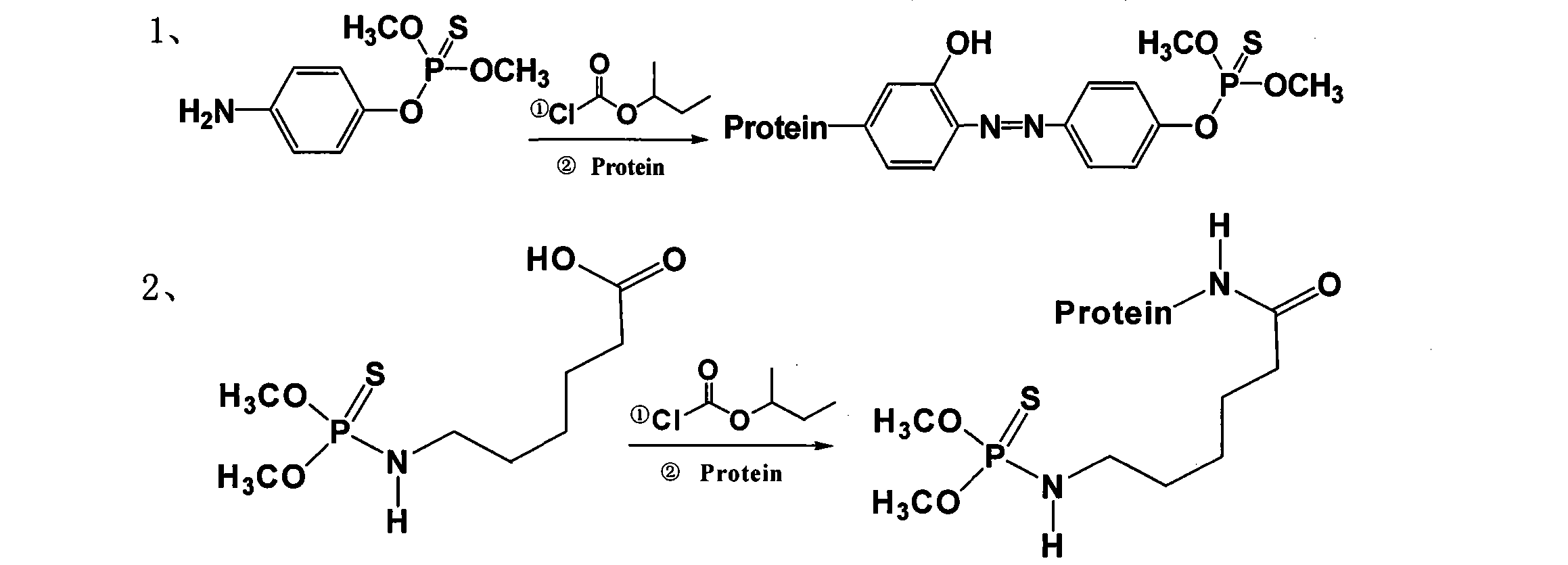 Preparation of multi-organophosphor universal antibody and universal envelope antigen